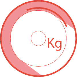Roue d'inertie
